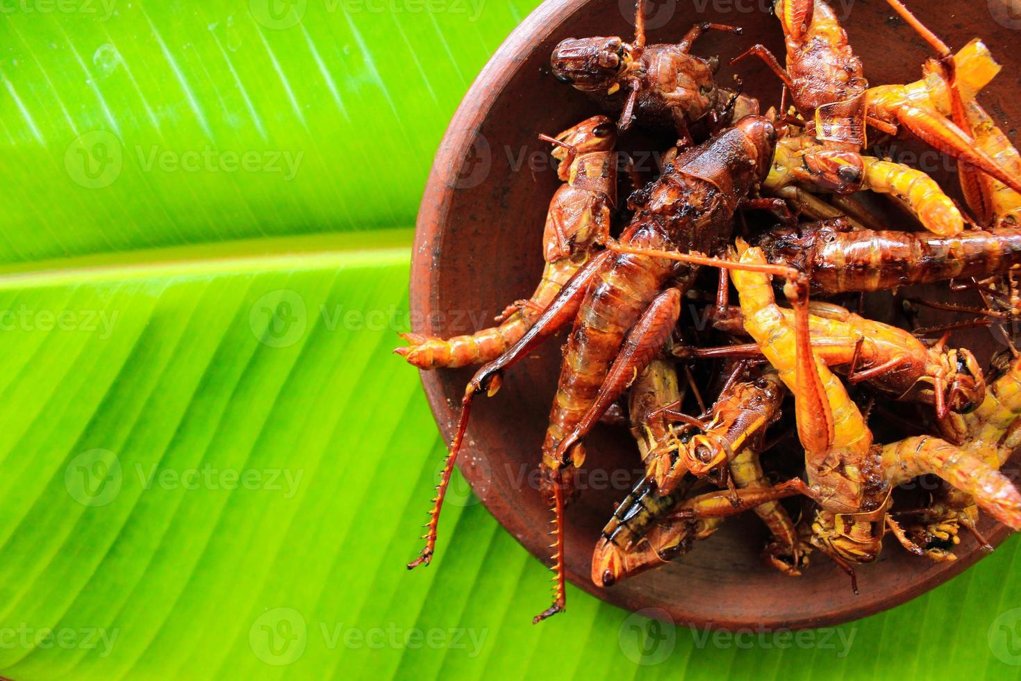 fried grasshopper or belalang goreng is traditional food from southeast asia, served with sambal, onion, garlic, chili on wood background photo