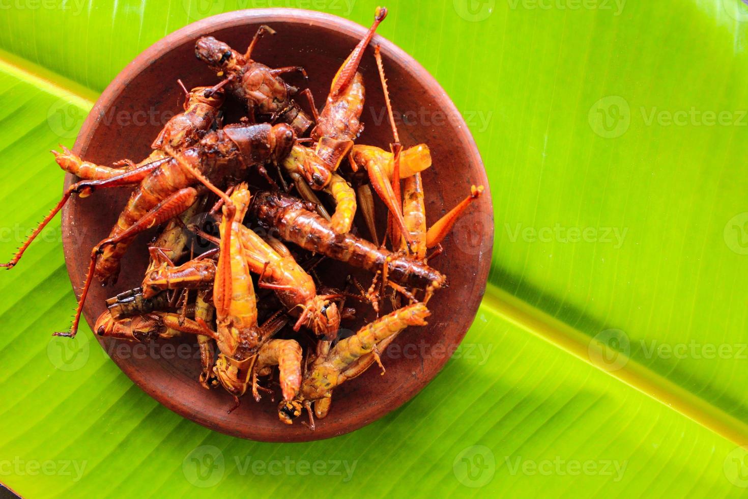 fried grasshopper or belalang goreng is traditional food from southeast asia, served with sambal, onion, garlic, chili on wood background photo