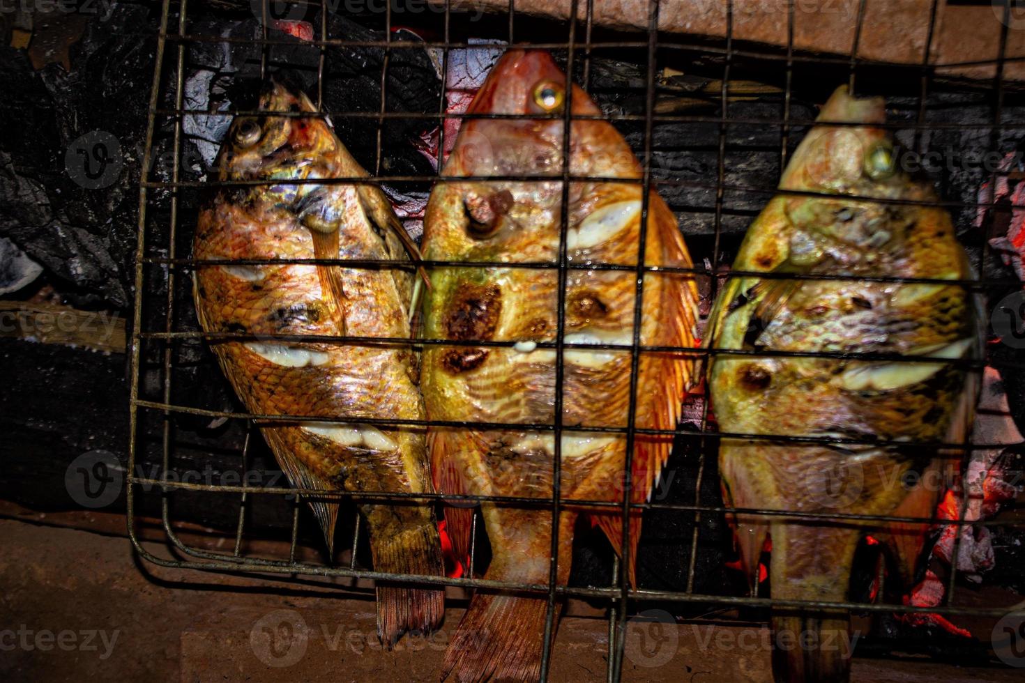 grilled fish Nile Tilapia on charcoal grill grilled fish Nile Tilapia