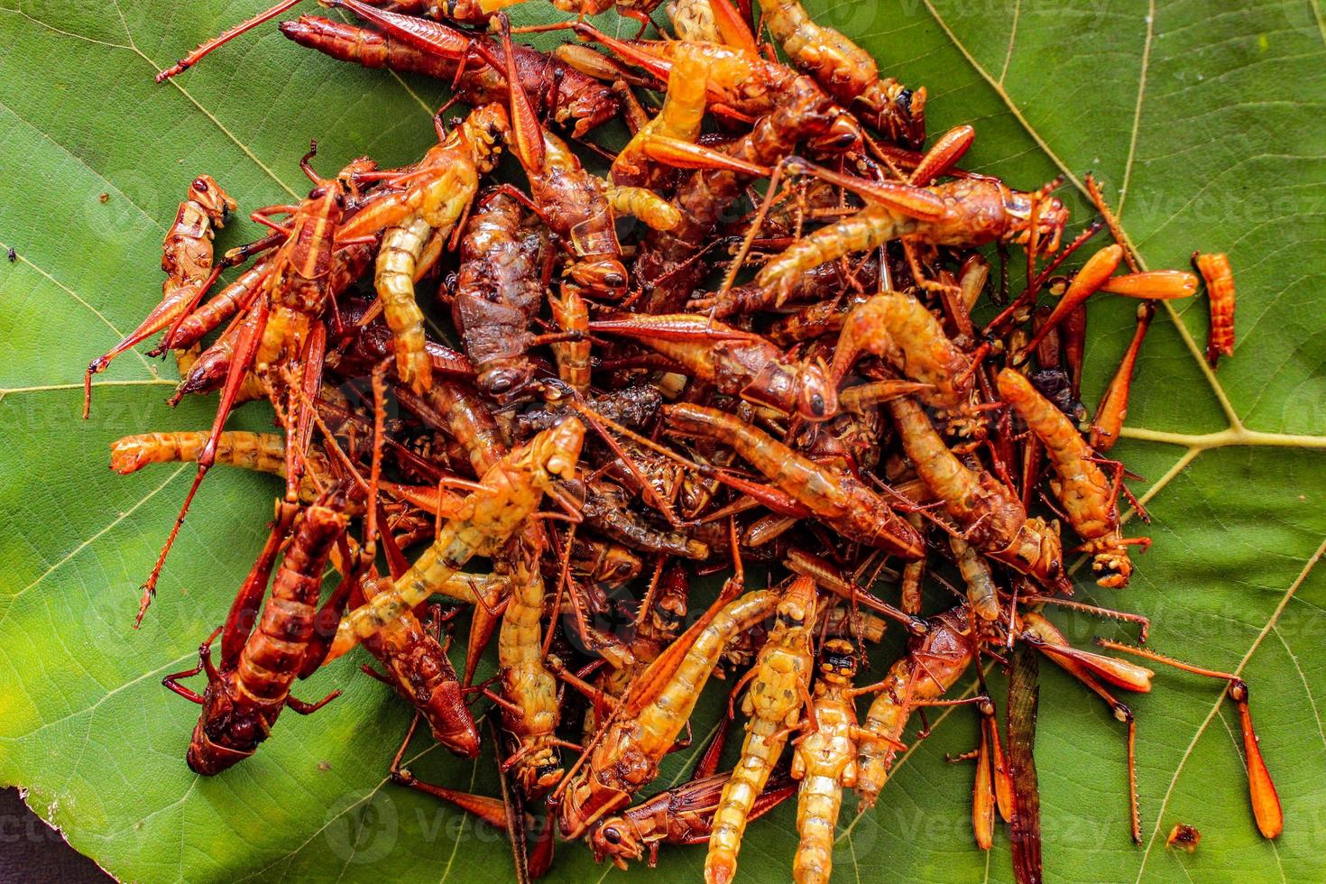 fried grasshopper or belalang goreng is traditional food from southeast asia, served with sambal, onion, garlic, chili on wood background photo