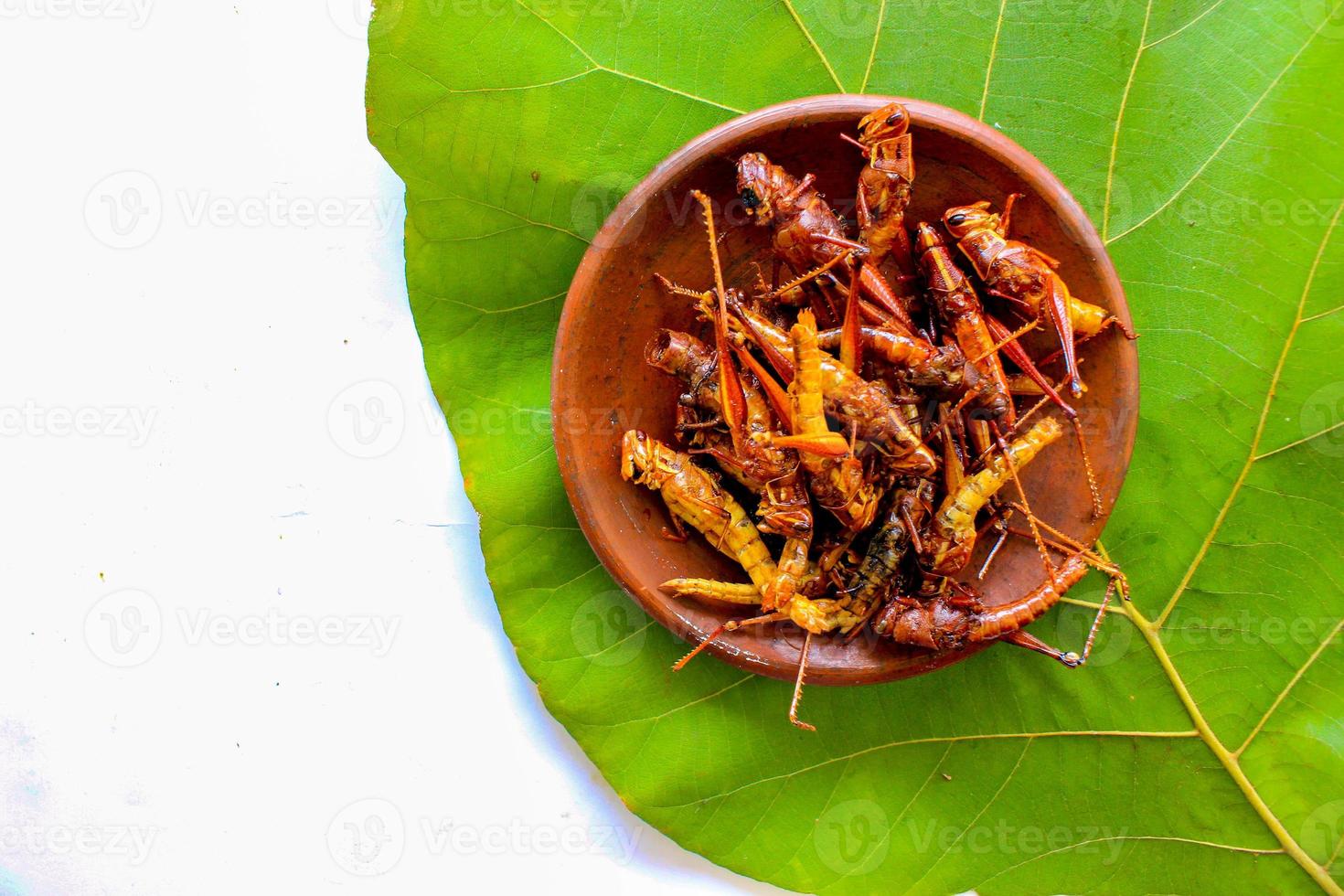 fried grasshopper or belalang goreng is traditional food from southeast asia, served with sambal, onion, garlic, chili on wood background photo