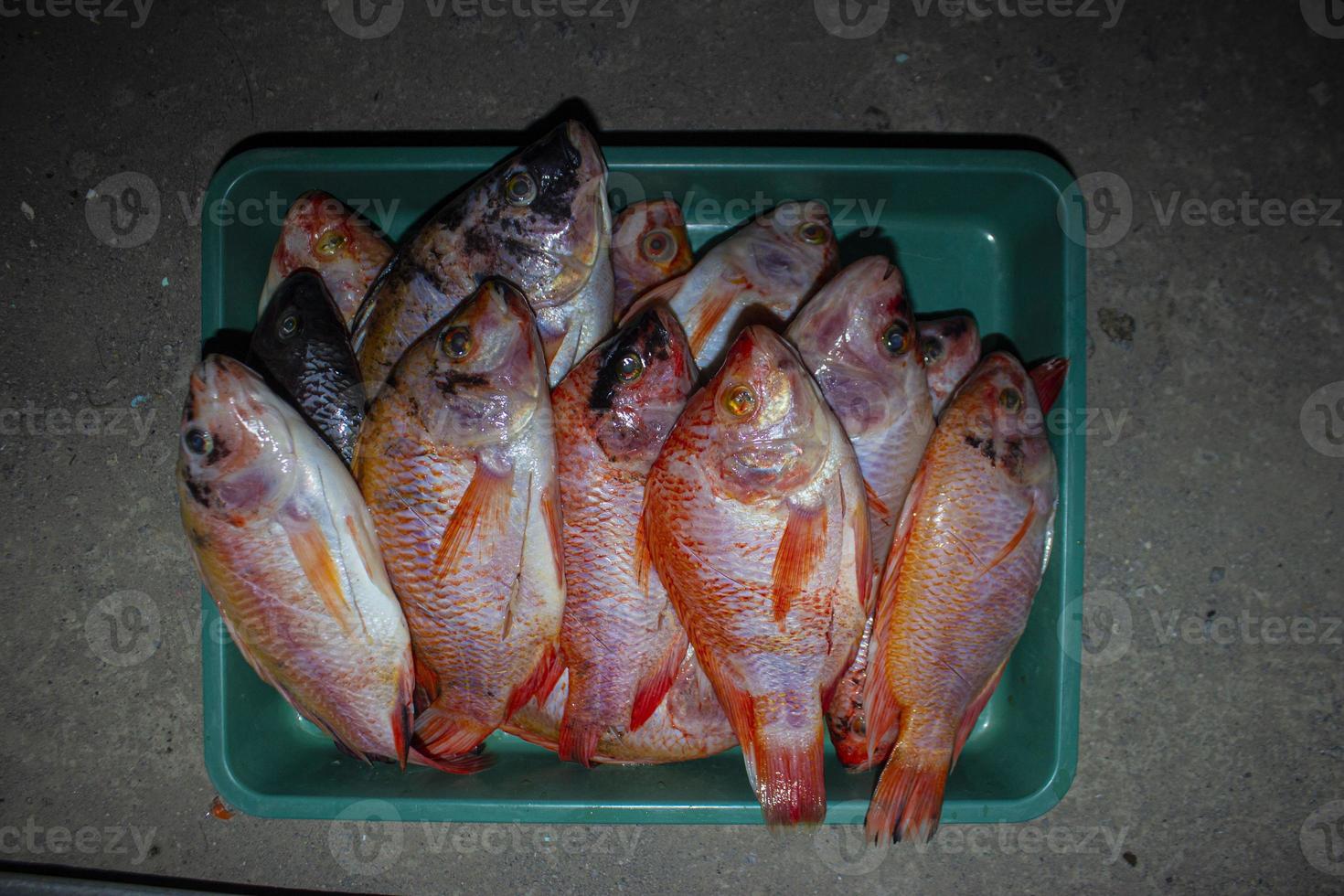 grilled fish Nile Tilapia on charcoal grill grilled fish Nile Tilapia