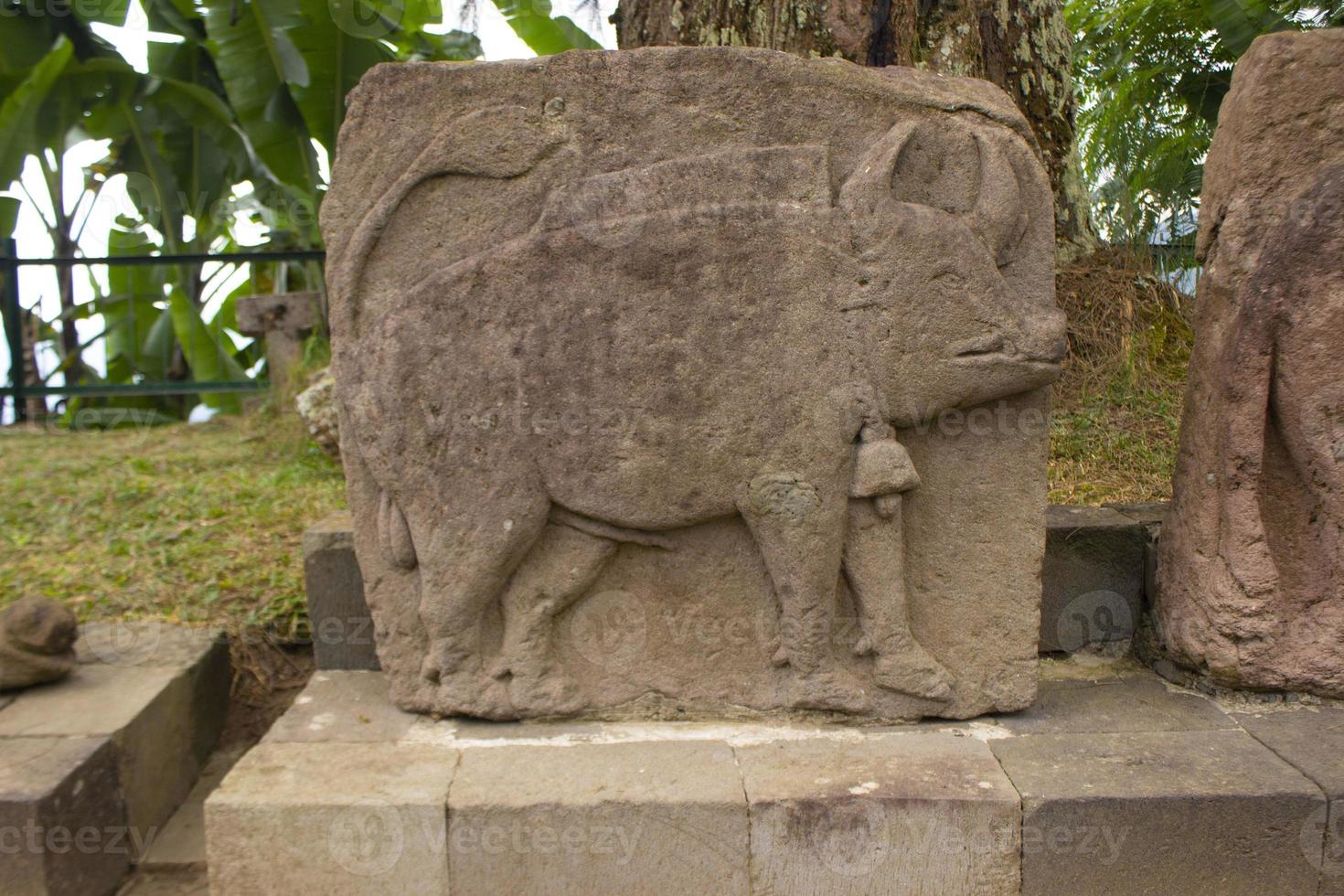 sukuh temple or candi sukuh, reliefs at sukuh temple.Ancient erotic Candi Sukuh-Hindu Temple on central Java, Indonesia. the temple is Javanese Hindu temple located mount lawu photo
