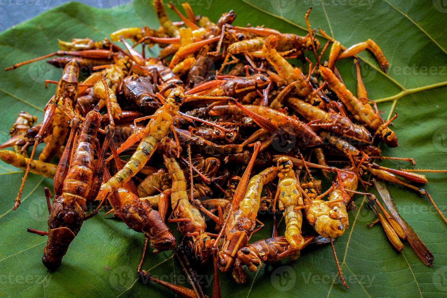 fried grasshopper or belalang goreng is traditional food from southeast asia, served with sambal, onion, garlic, chili on wood background photo