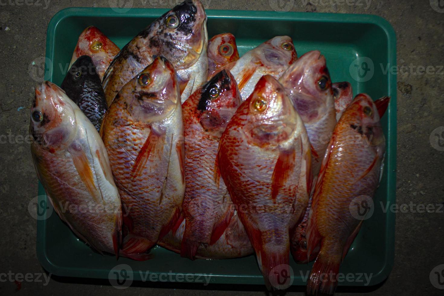 grilled fish Nile Tilapia on charcoal grill grilled fish Nile Tilapia