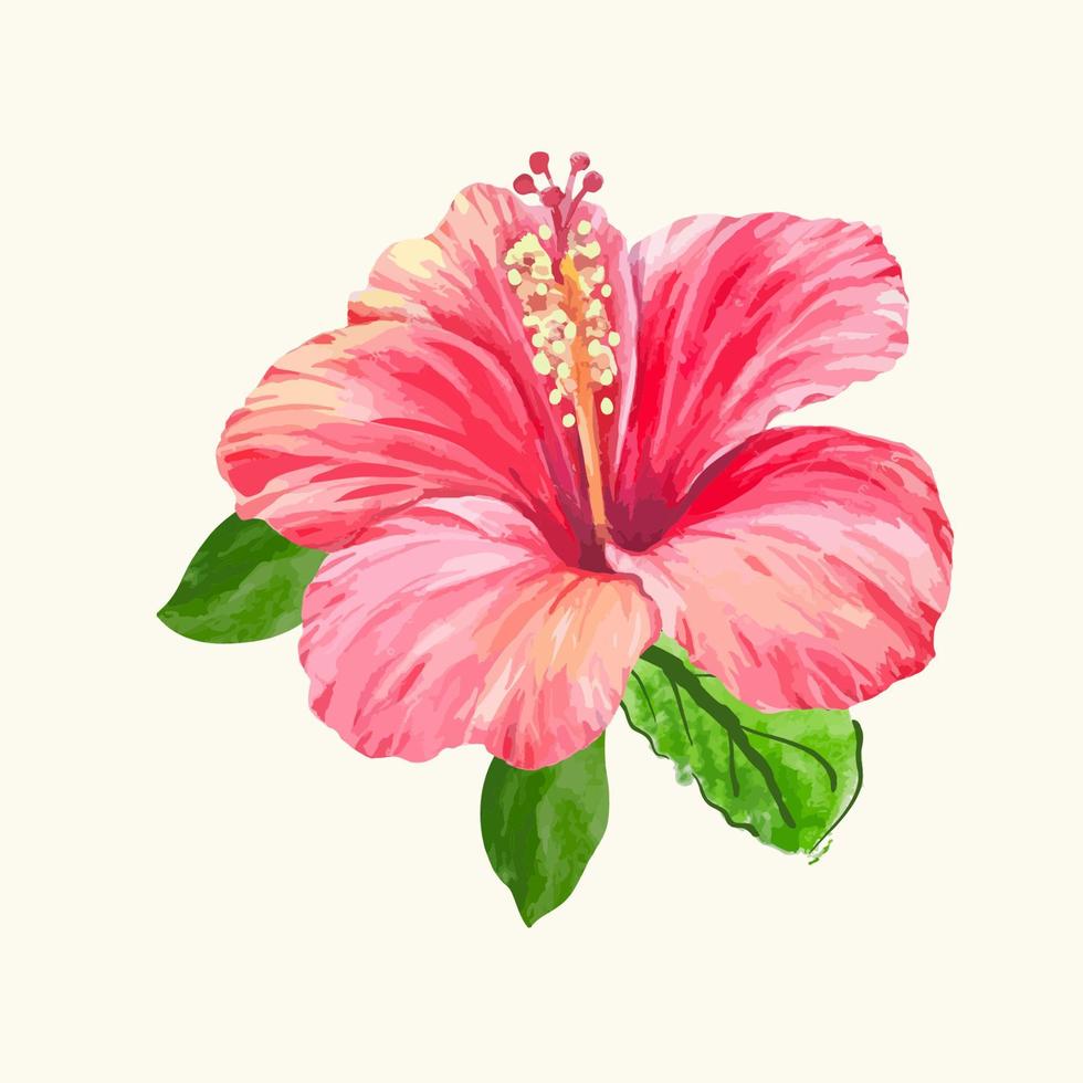 ilustración de acuarela de flores. diseño vectorial vector