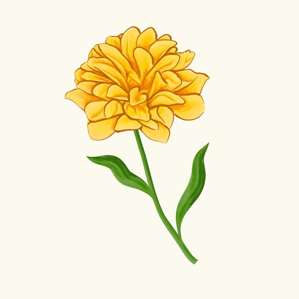 Illustration of watercolor flower. Vector design