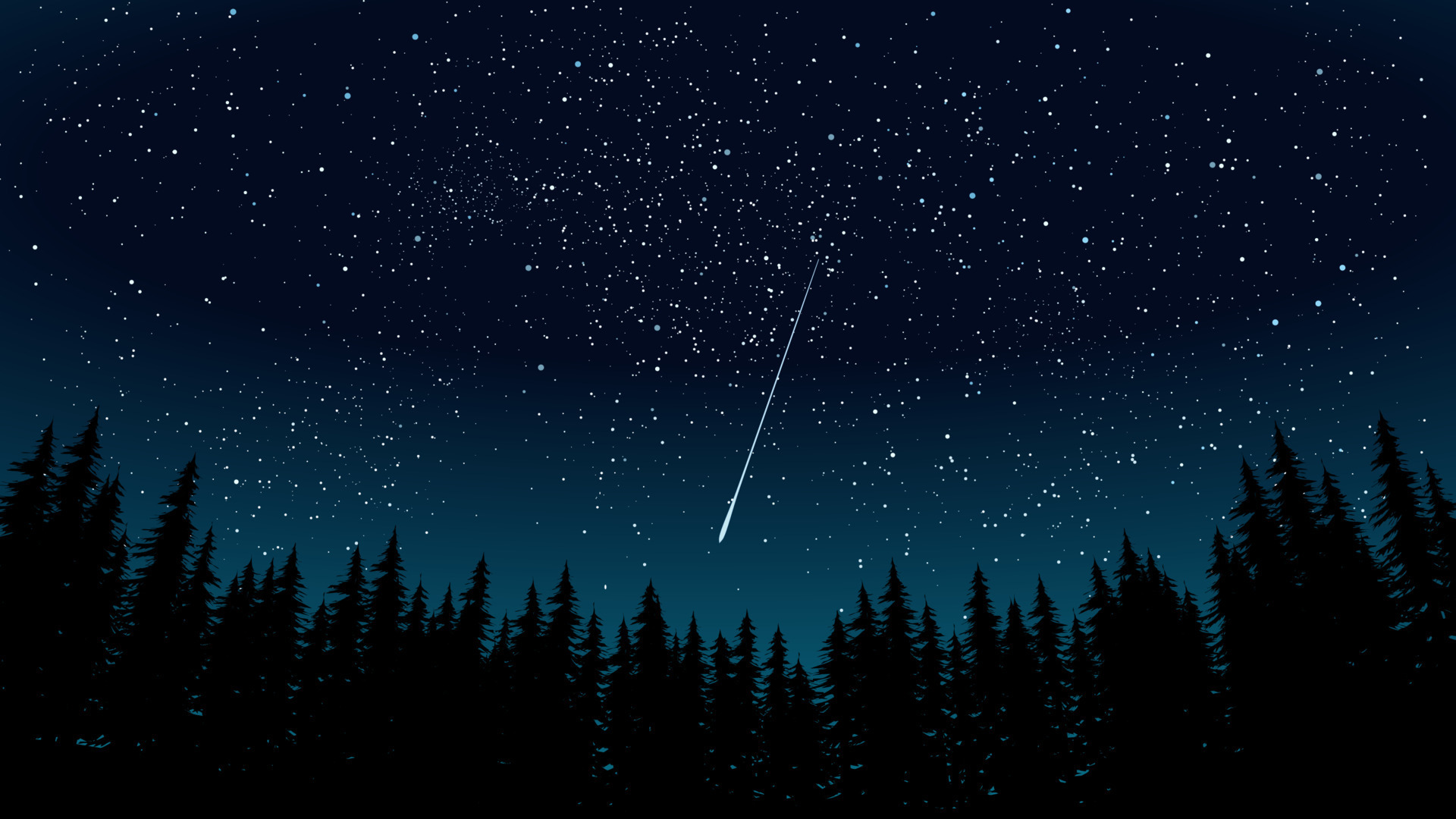 Starry night landscape in forest. Vector Scenery illustration 15974067