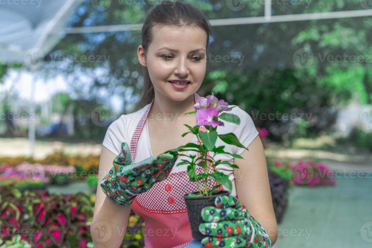 Young woman at a nursery holding flower plant in her hands as she kneels in the walkway between plants. photo