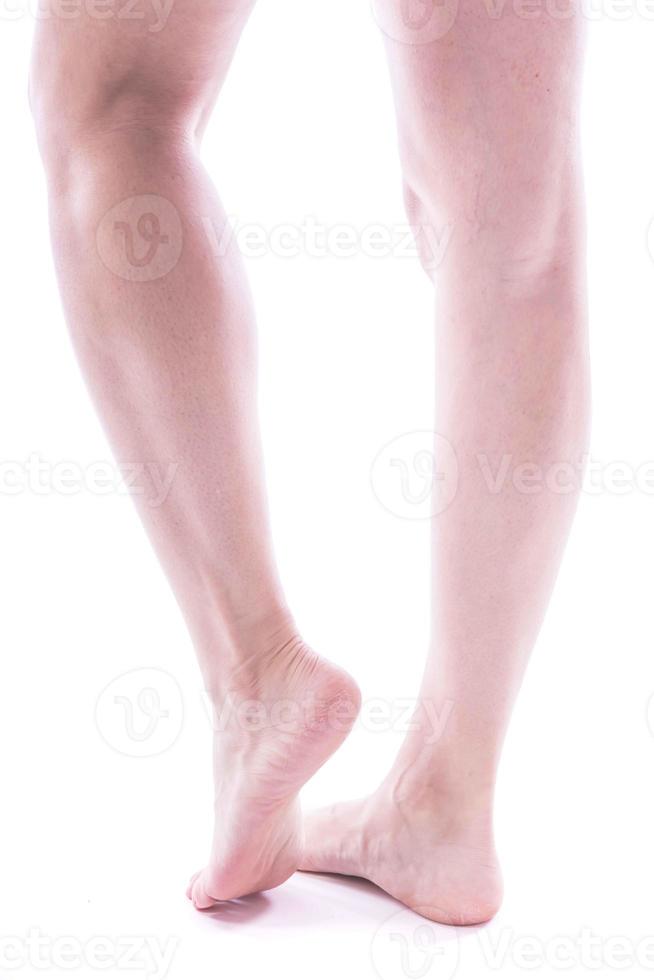 beautifully groomed female legs on a white background photo