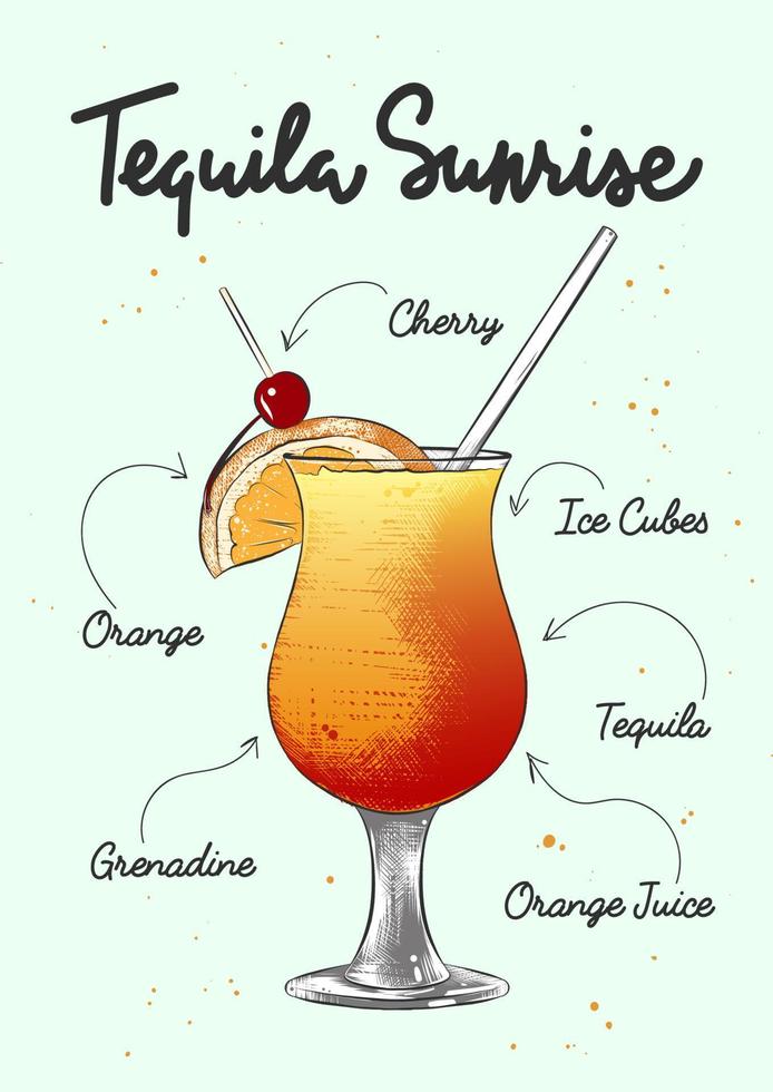 Vector engraved style Tequila Sunrise cocktail illustration for posters, decoration, logo and print. Hand drawn sketch with lettering and recipe, beverage ingredients. Detailed colorful drawing.