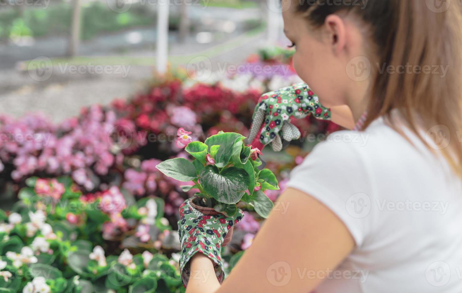 Young woman at a nursery holding flower plant in her hands as she kneels in the walkway between plants. photo