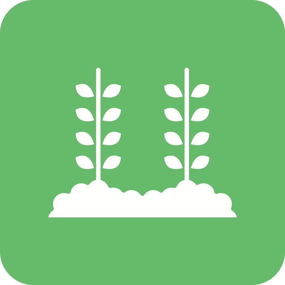 Wheat Plantation Glyph Round Corner Background Icon vector