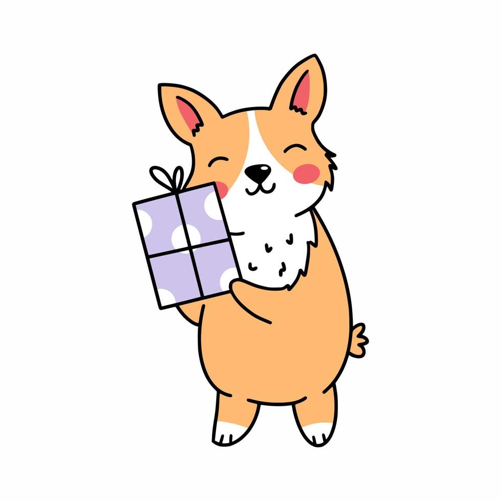 lindo perro corgi tiene regalo en las manos. elemento de decoración de postal. vector