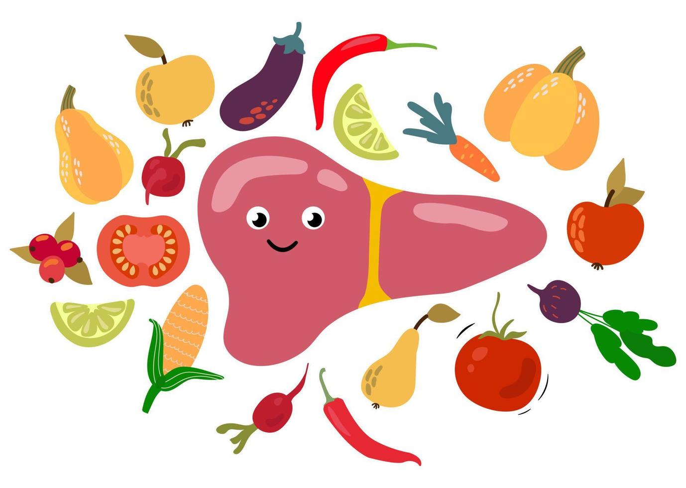 Love Your Liver Awareness Month. Healthy liver, proper nutrition. White background, isolate. Vector illustration.