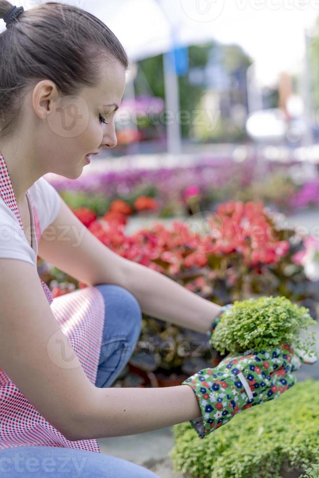 Young woman at a nursery holding flower plant in her hands as she kneels in the walkway between plants. photo