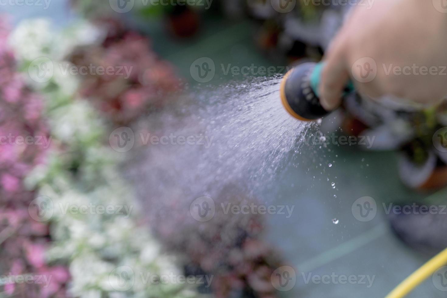 Young woman at a nursery holding flower plant in her hands as she kneels in the walkway between plants. photo