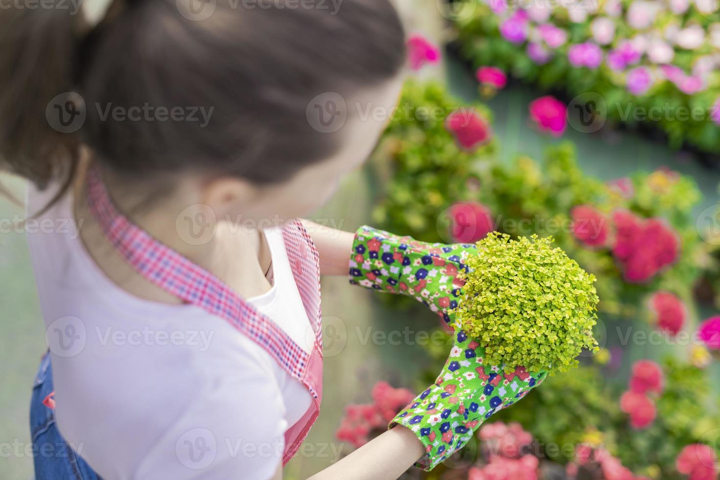 Young woman at a nursery holding flower plant in her hands as she kneels in the walkway between plants. photo