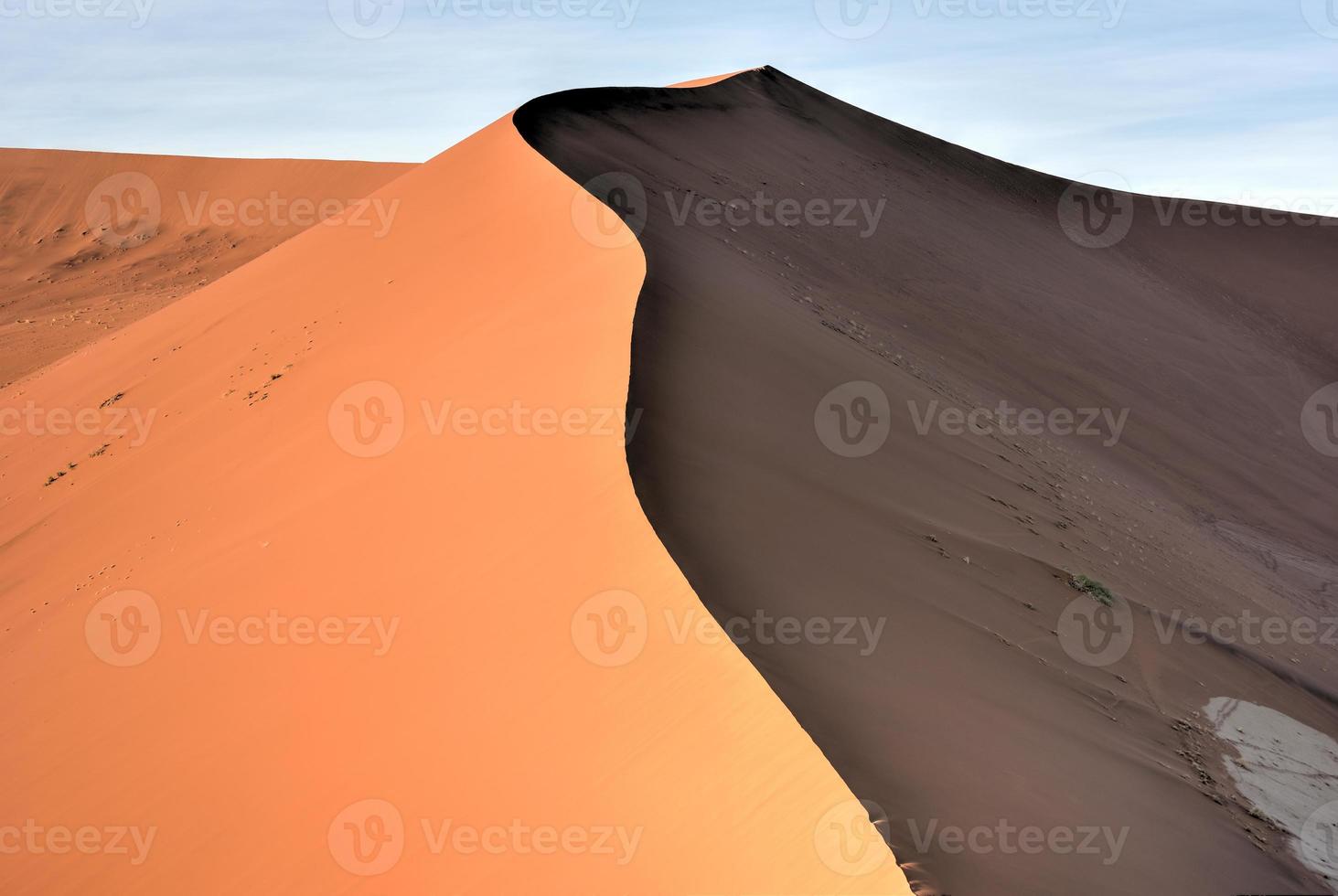 vlei escondido, namibia foto