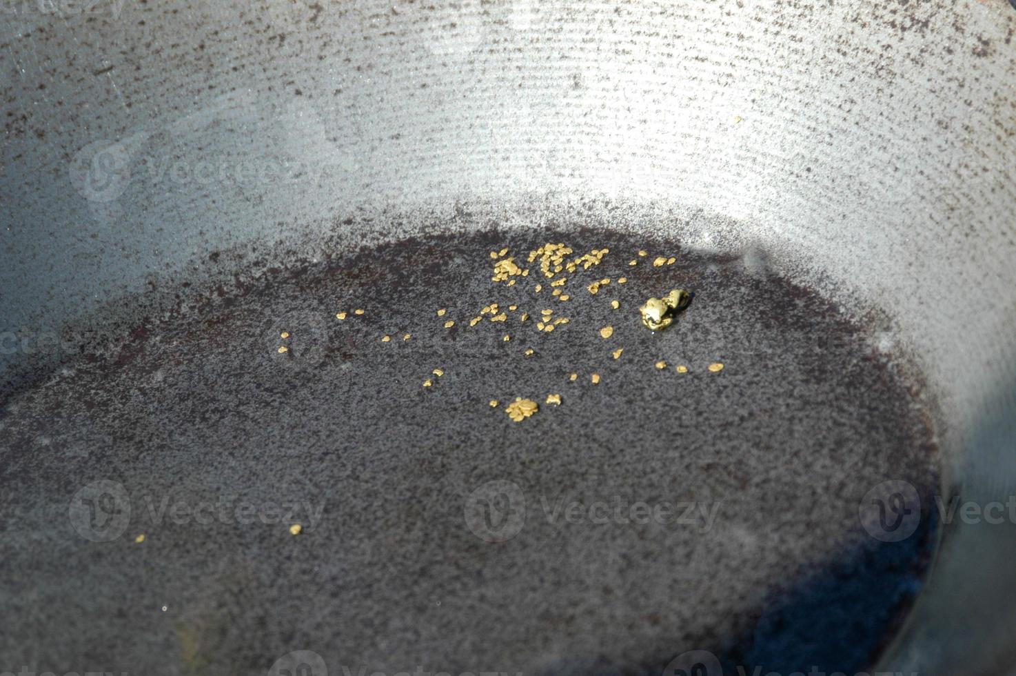 Freshly panned gold.  Gold on wash pan in Alaska. photo