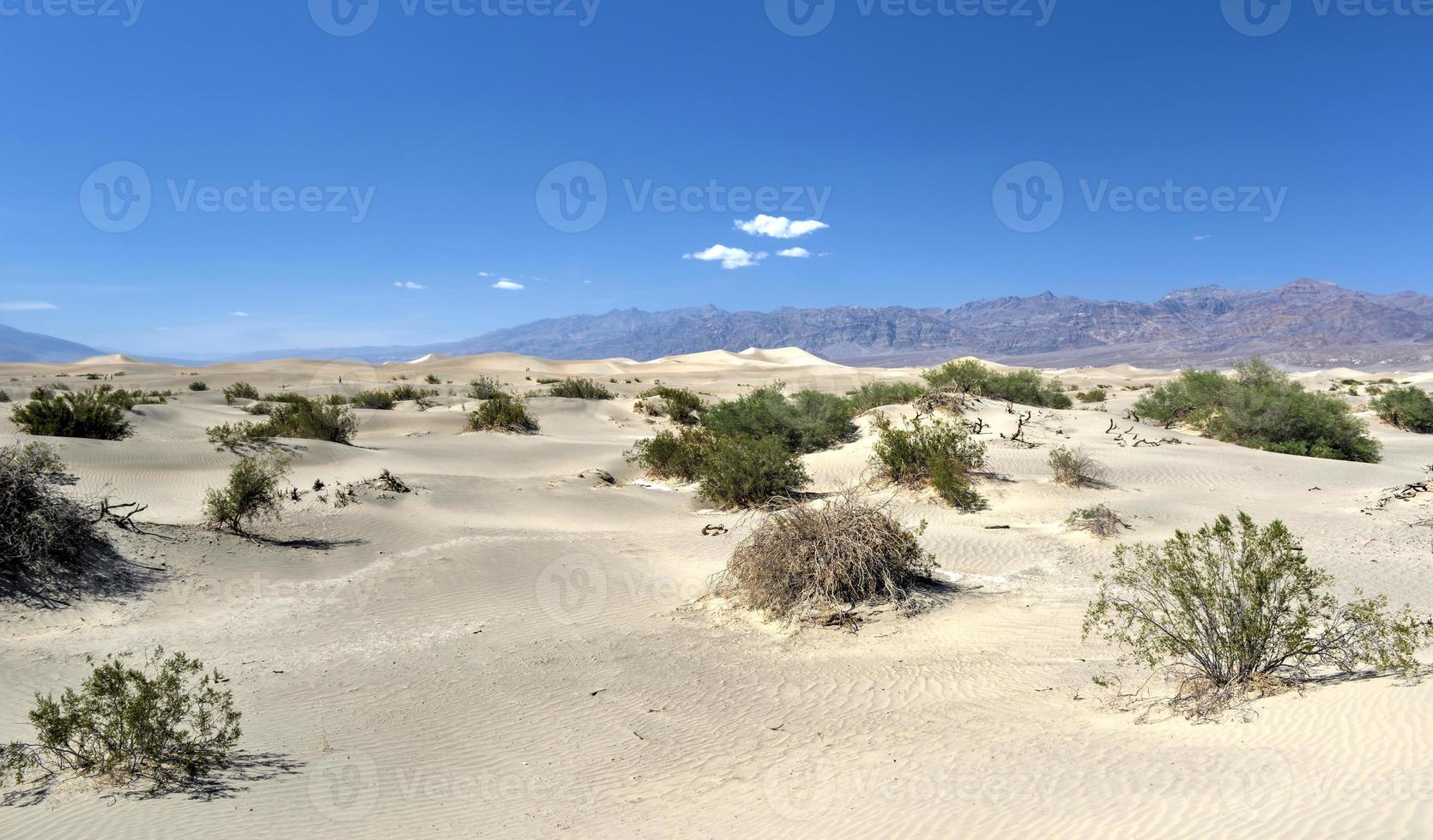 Mesquite Flat Sand Dunes, Death Valley photo