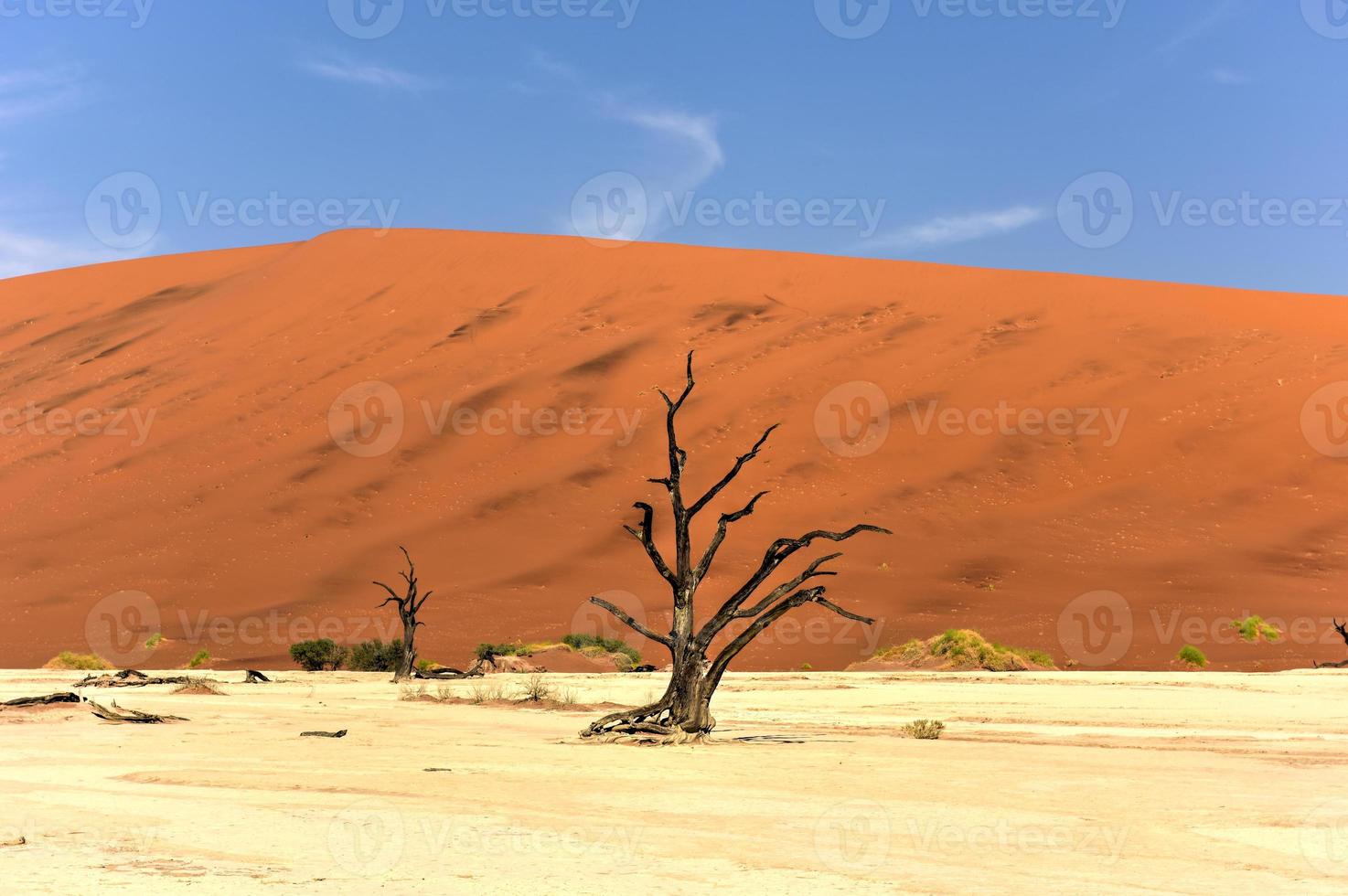 Dead Vlei, Namibia photo