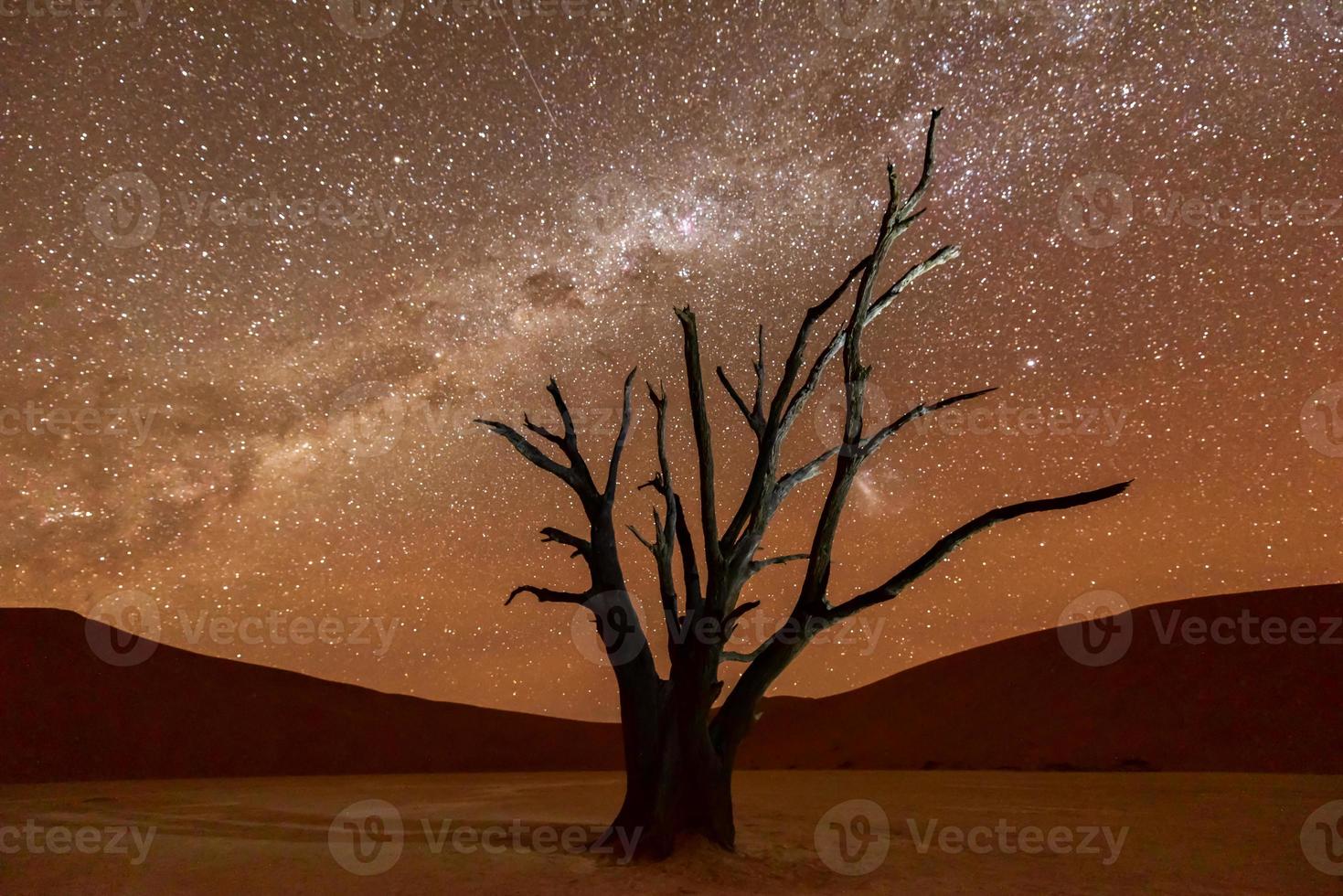 Dead Vlei, Namibia photo