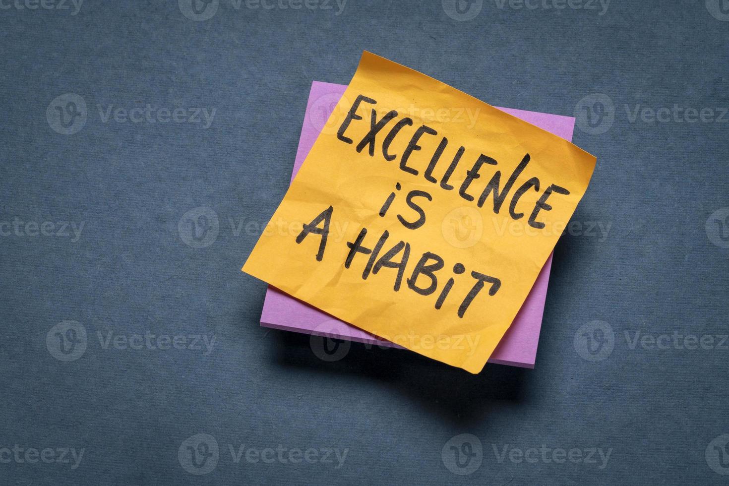 excellence is a habit photo