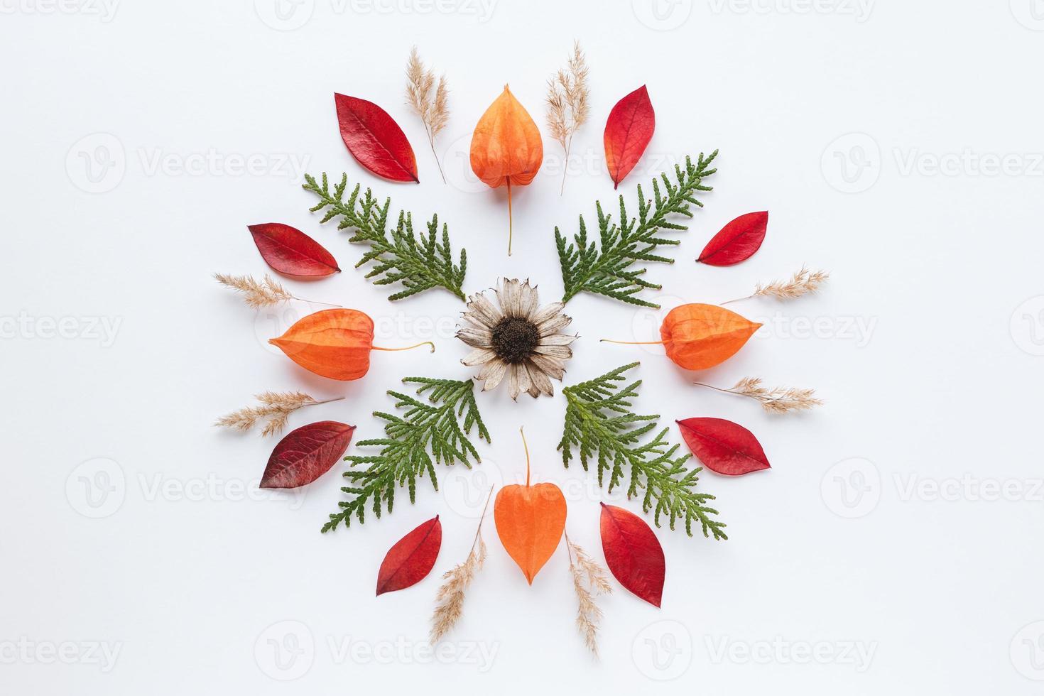 Mandala pattern of orange autumn leaves, flowers green branches arranged on white background photo