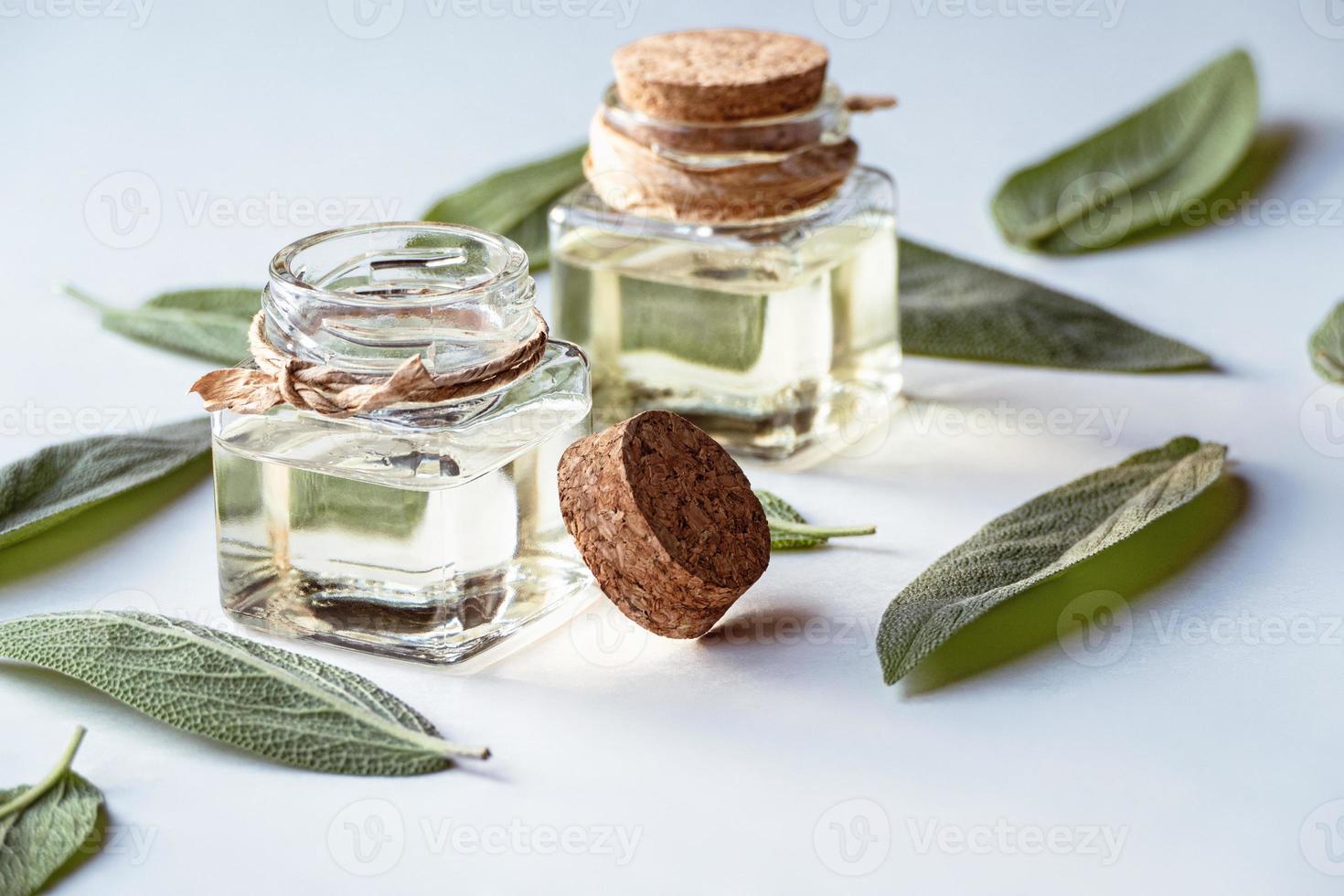 Salvia Officinalis Sage Oil, homemade sage infused oil in glass bottles, green leaves on white background photo