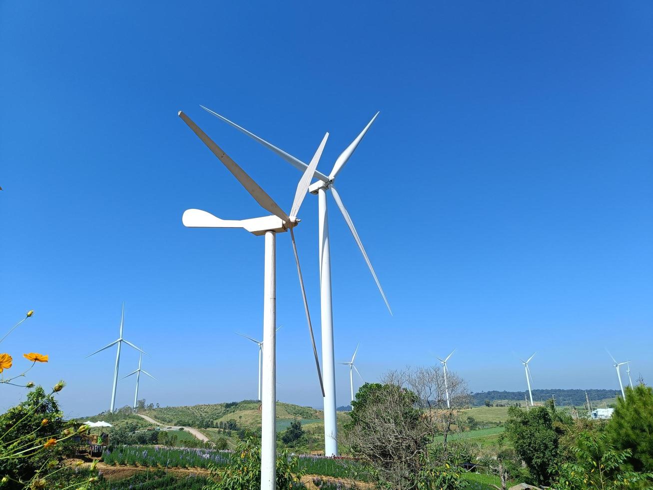 Windmill farm on a beautiful bright day in Khao Kho, Phetchabun photo