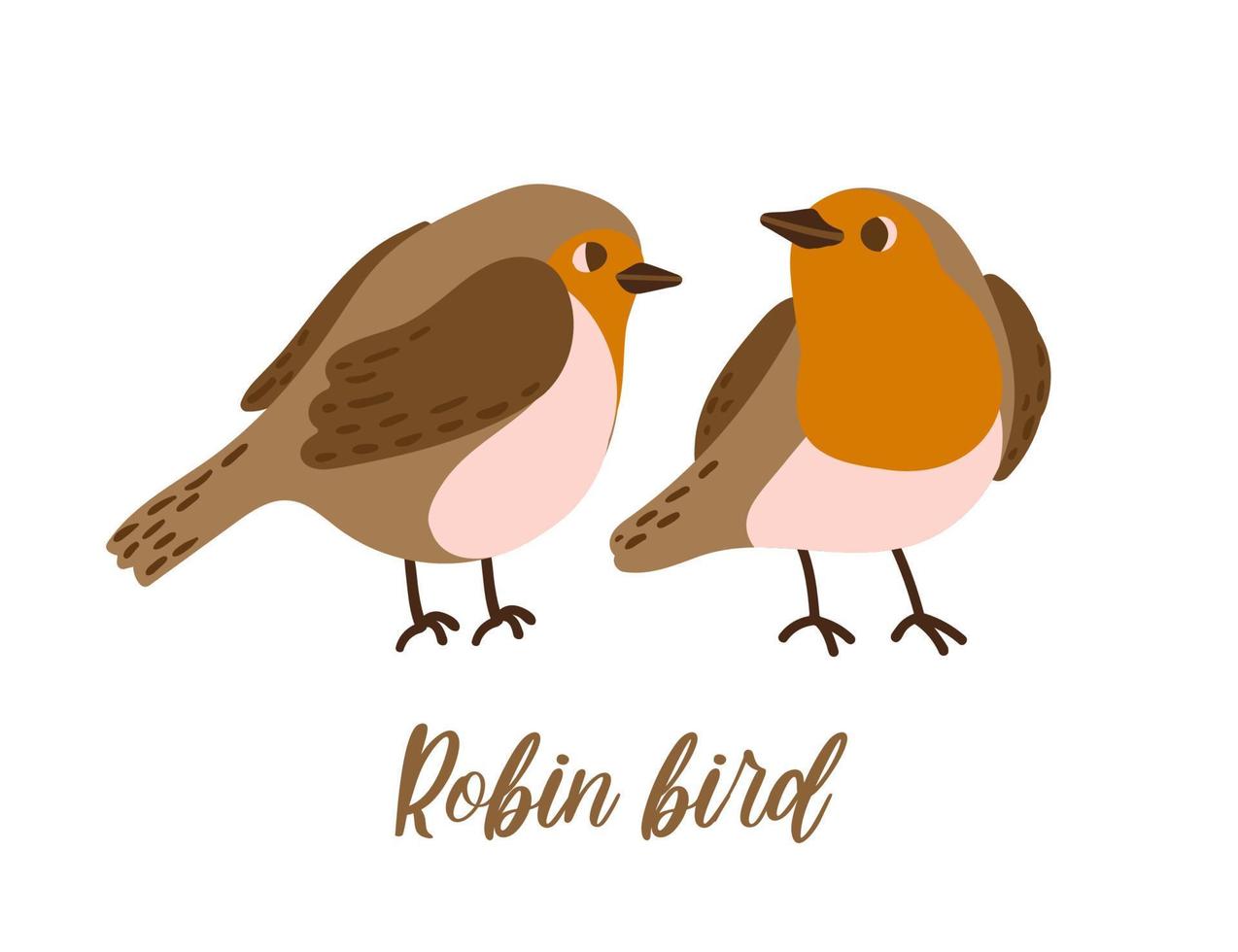 Cartoon robin bird. Cute winter bird. Vector illustration for prints, clothing, packaging, stickers