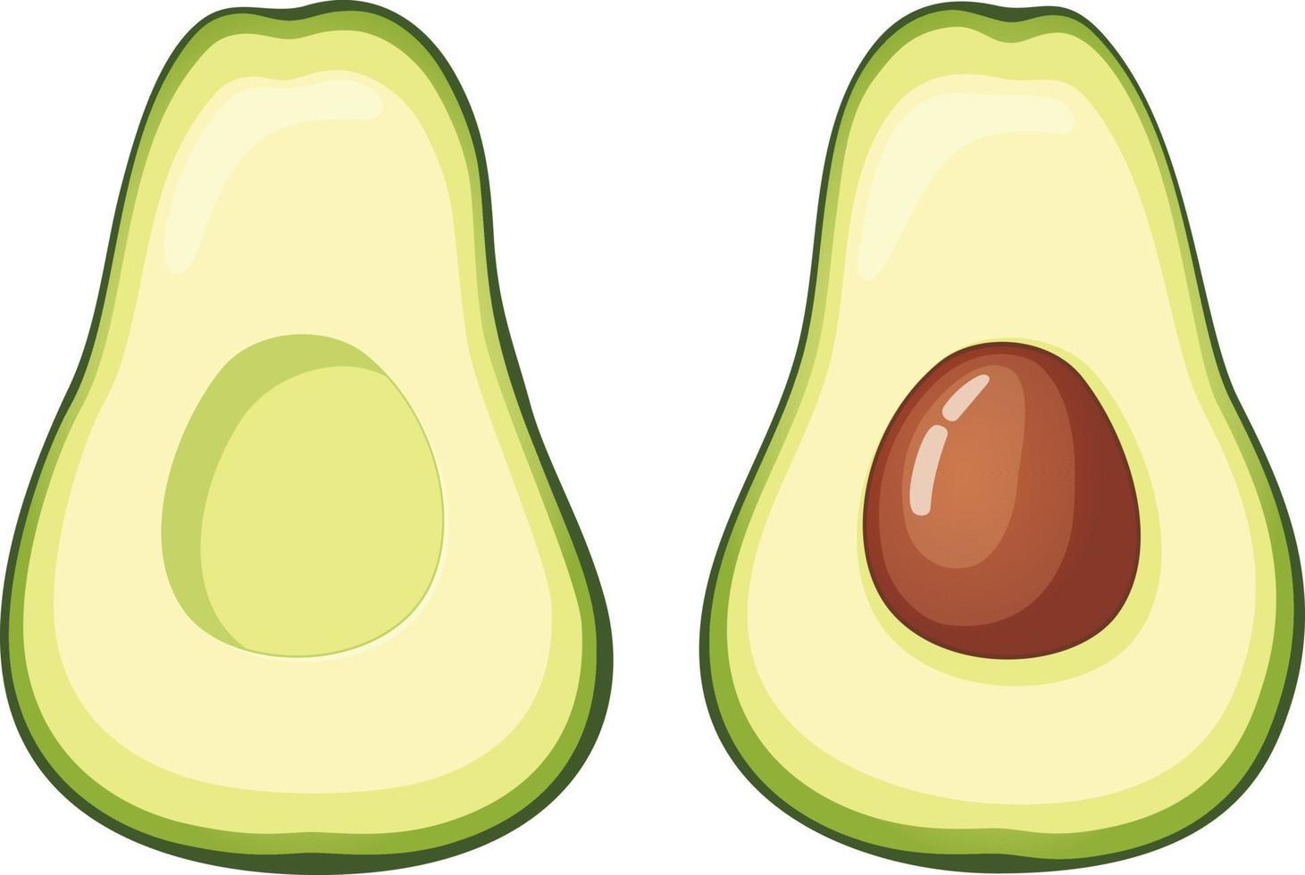 Two avocado halves vector illustration