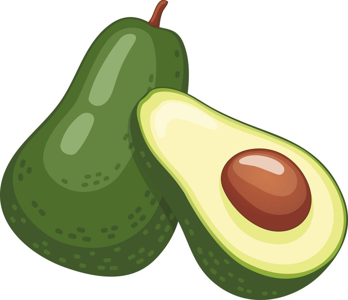 Two avocado halves vector illustration