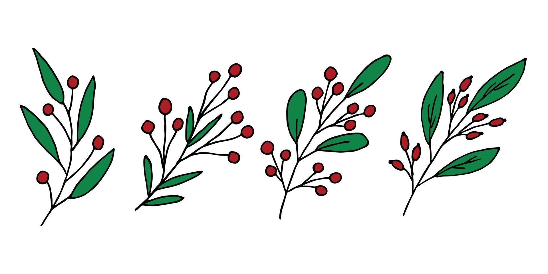 Hand drawn branch with berries clipart. Christmas doodle set. Winter design elements vector