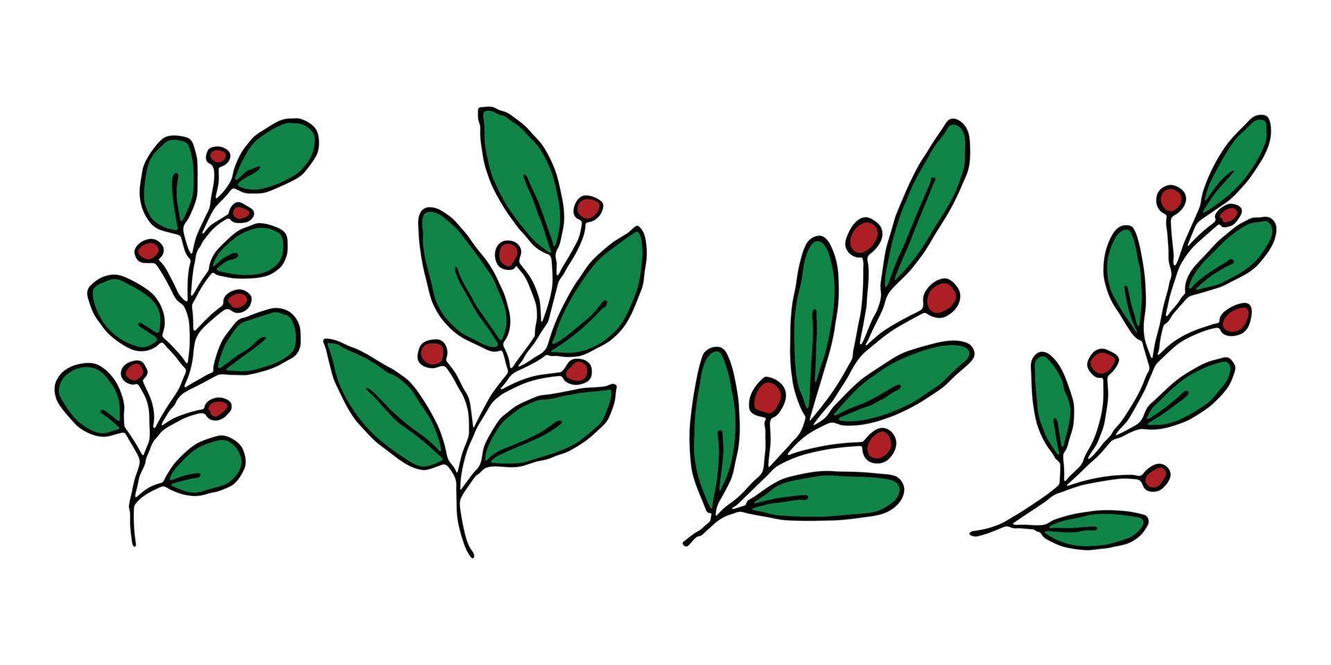 Hand drawn branch with berries clipart. Christmas doodle set. Winter design elements vector