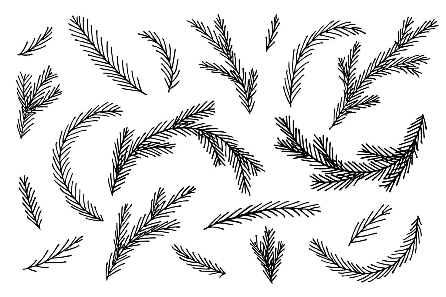 Hand drawn spruce branches. Twig of coniferous tree doodle set. Christmas and winter design elements vector