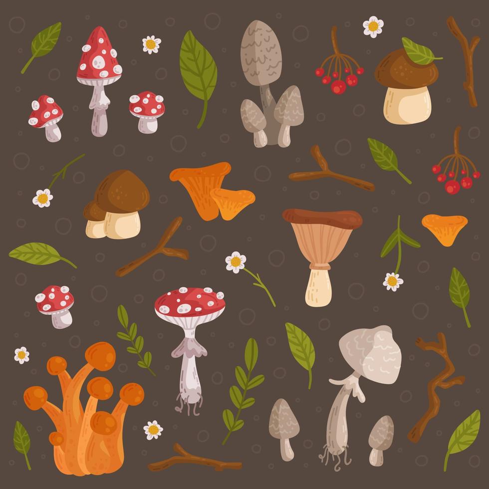 Vector illustration of fly agaric, chanterelles, honeycomb, white mushroom, etc. Set