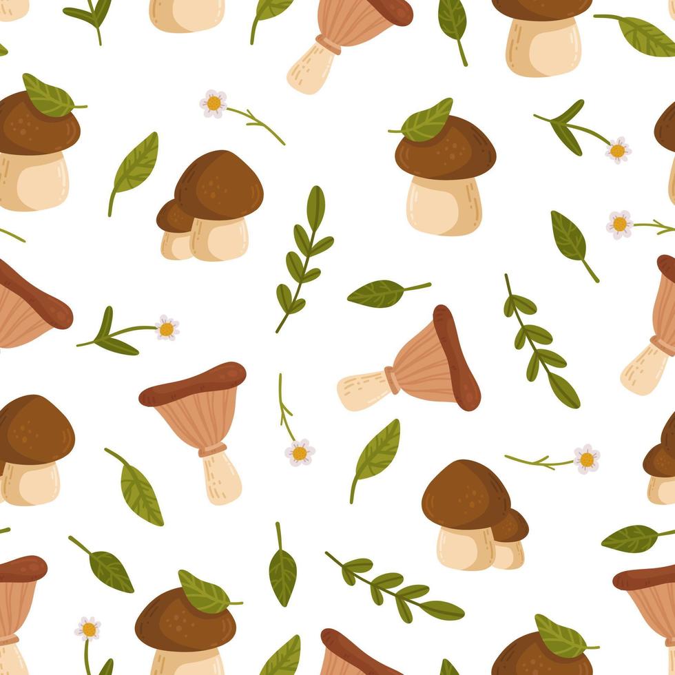 The pattern of the cep and chanterelle. Vector illustration of mushrooms on white background. Background.
