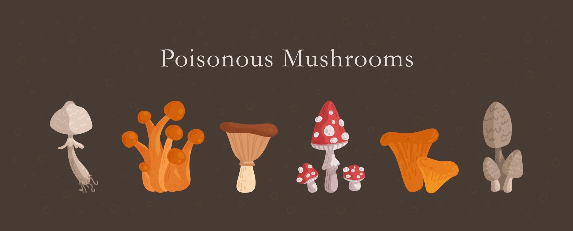 Beautiful set of poisonous mushrooms on brown background. Vector illustration of fly agaric, false opium, false chanterelles, pale grebes and others.