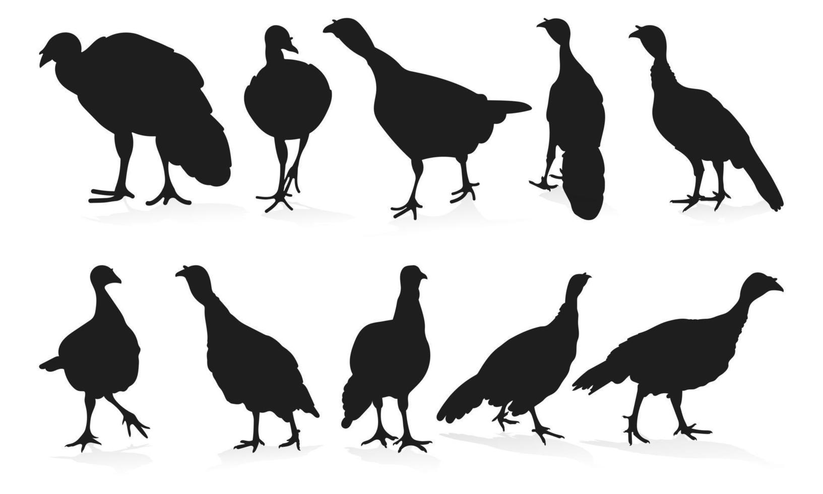 Turkey, gobbler, position standing, walking, set poultry silhouettes hand drawn, isolated vector