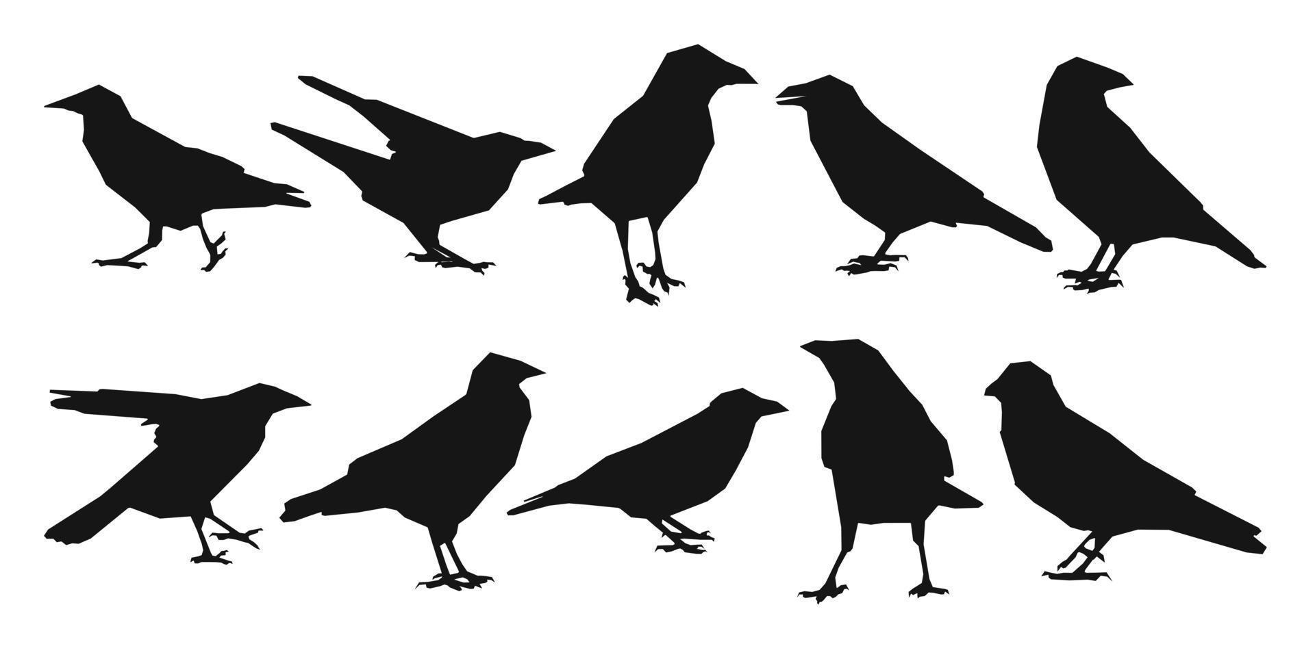 conjunto de vectores cuervo, cuervo, corvus de pie, diferentes paquetes de siluetas de aves dibujadas a mano, vector aislado