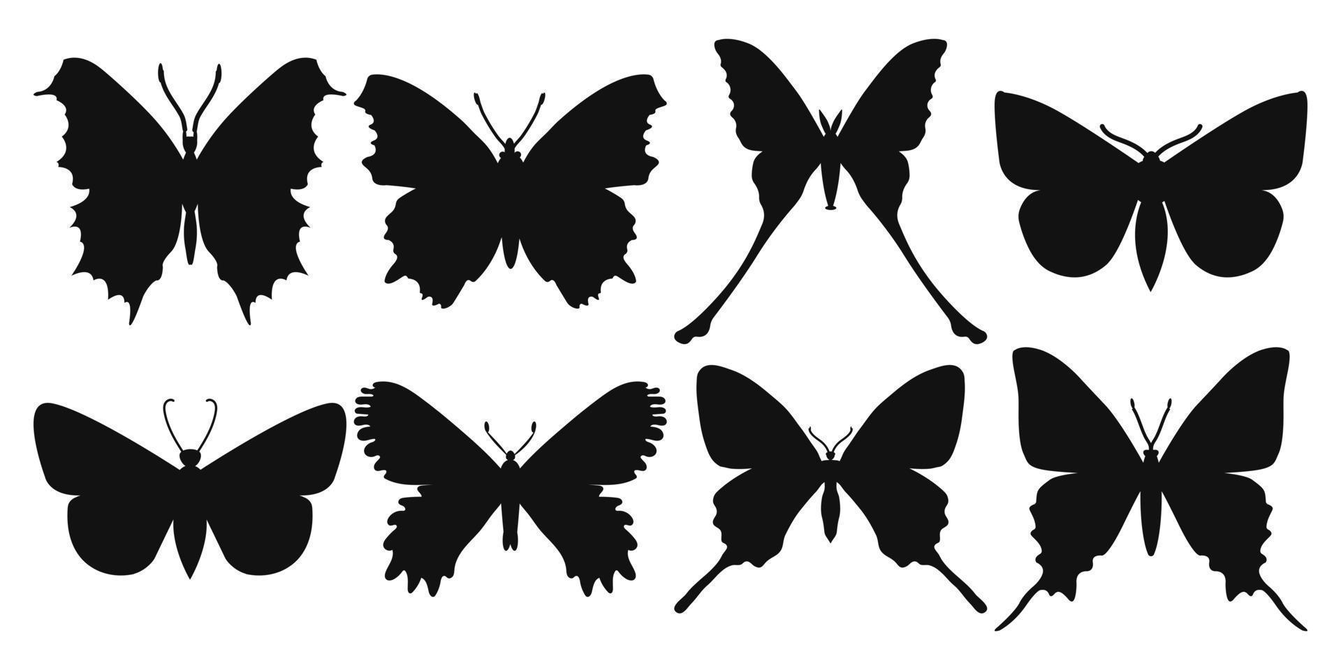 conjunto vectorial de mariposas en un fondo blanco, dibujando insectos decorativos, dibujo a mano de siluetas, vector aislado