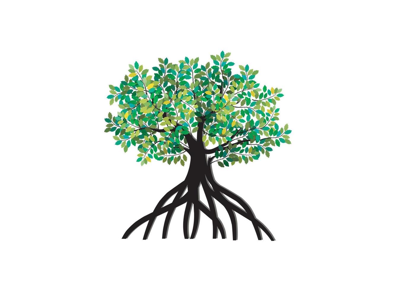 beautiful mangrove tree illustrations vector