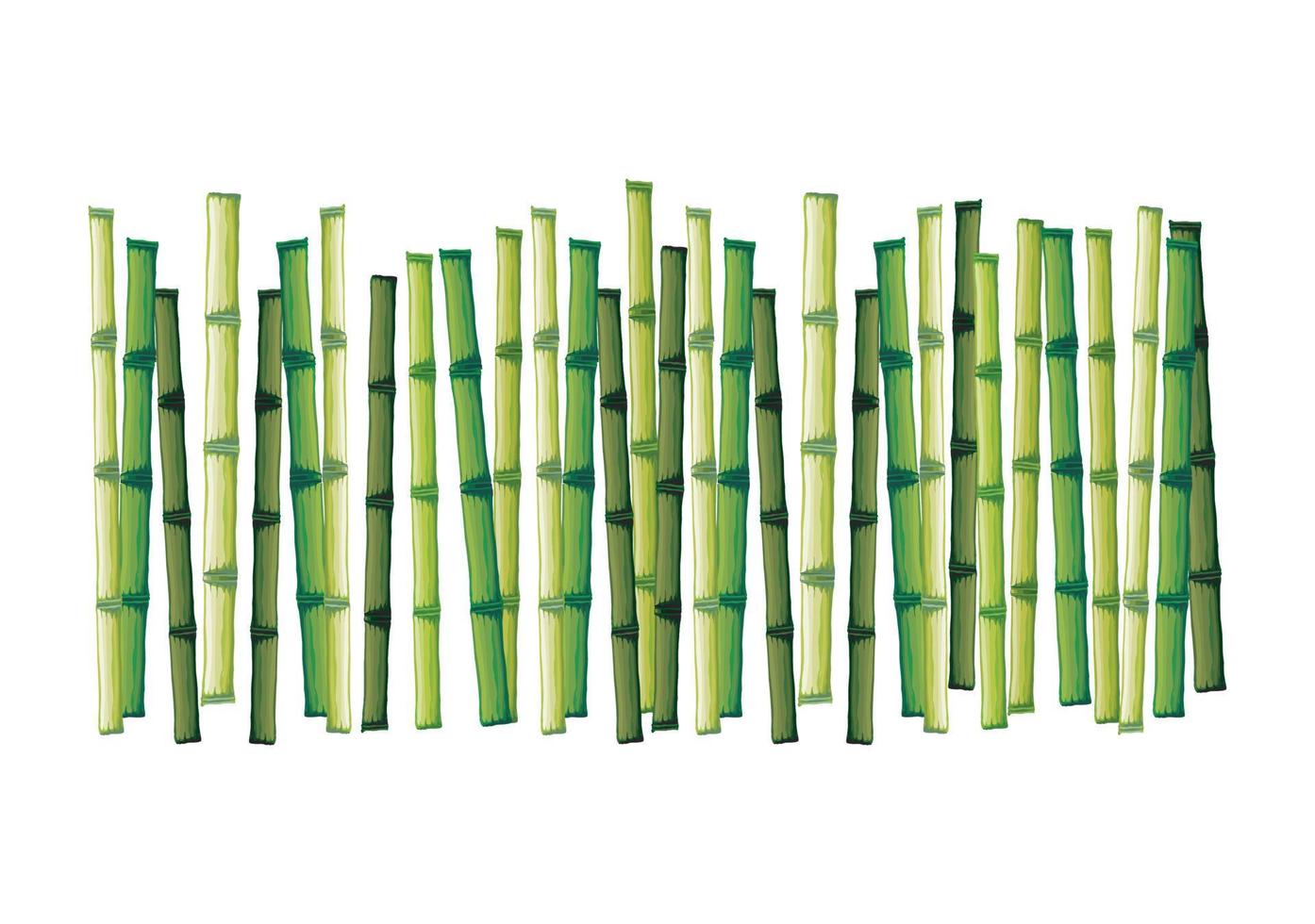 groups of bamboo pole isolated on white vector