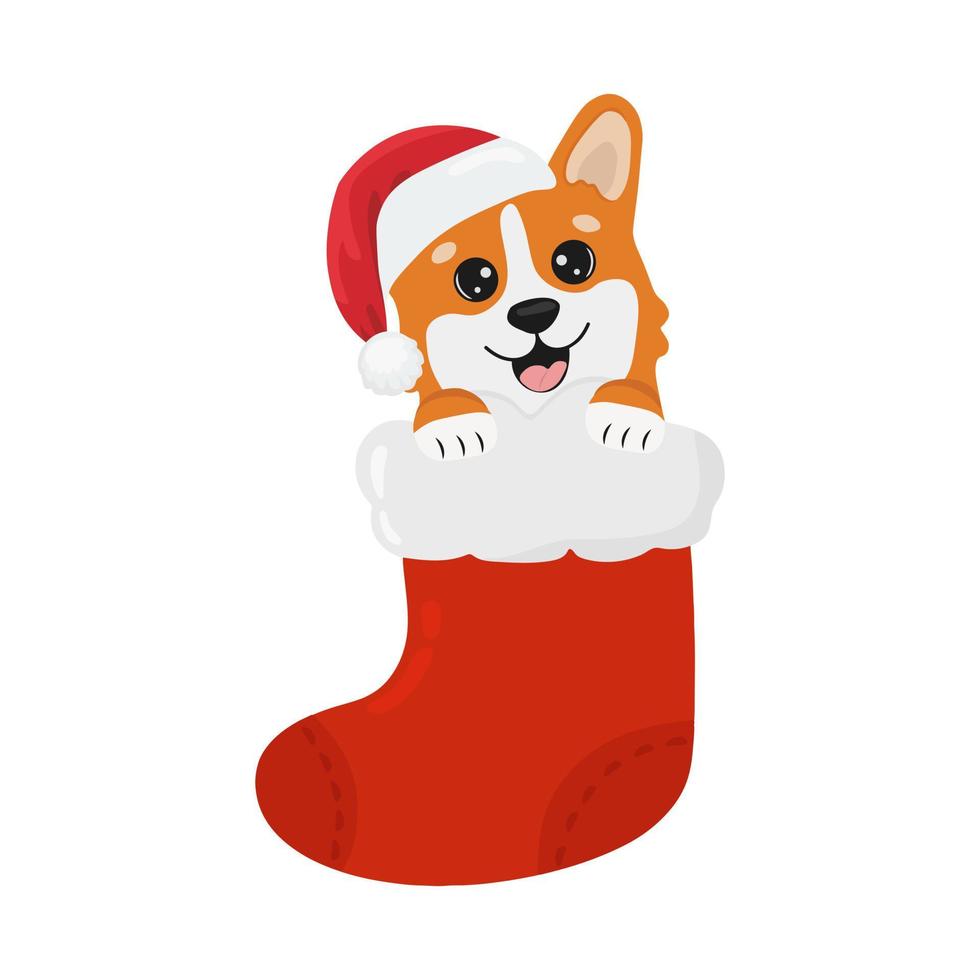 lindo corgi con sombrero de santa claus en calcetín rojo de navidad. carácter vectorial infantil. ilustración vectorial perfecto para tarjetas de navidad y diseño decorativo. vector