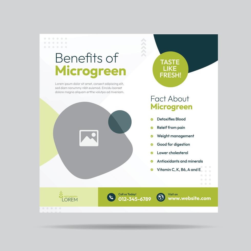 Microgreen Benefit Social Media Post Design and Microgreen plantation company banner Template vector