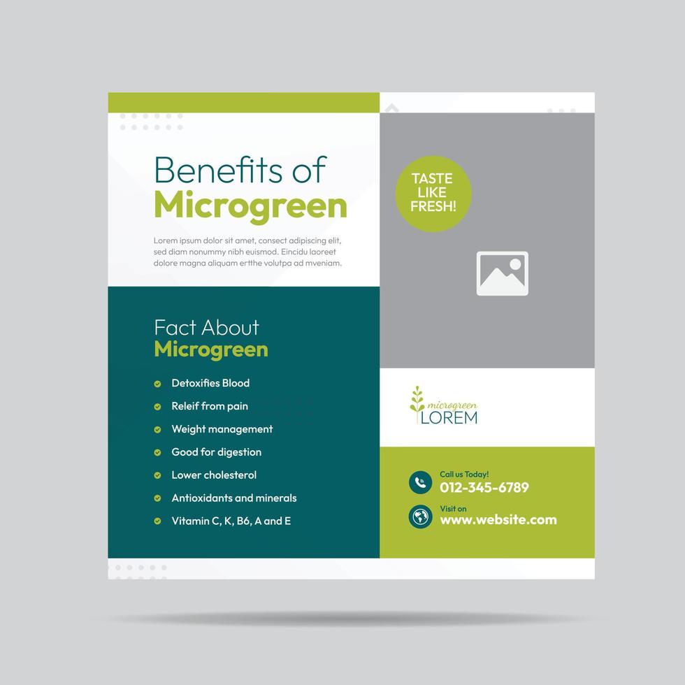 Microgreen Benefit Social Media Post Design and Microgreen plantation company banner Template vector