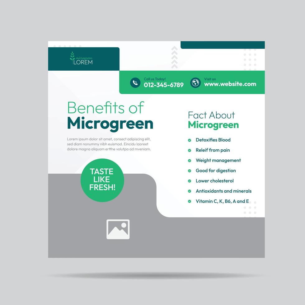 Microgreen Benefit Social Media Post Design and Microgreen plantation company banner Template vector
