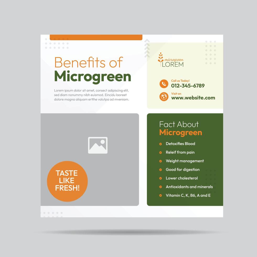 Microgreen Benefit Social Media Post Design and Microgreen plantation company banner Template vector